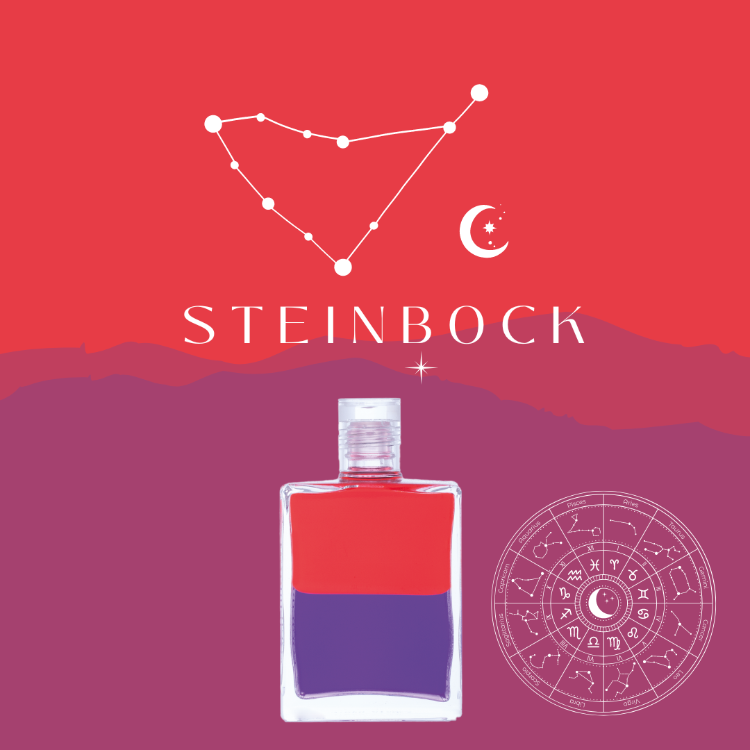 Steinbock_B19